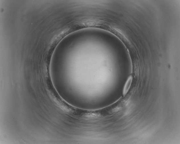 X0000073860453200608101254