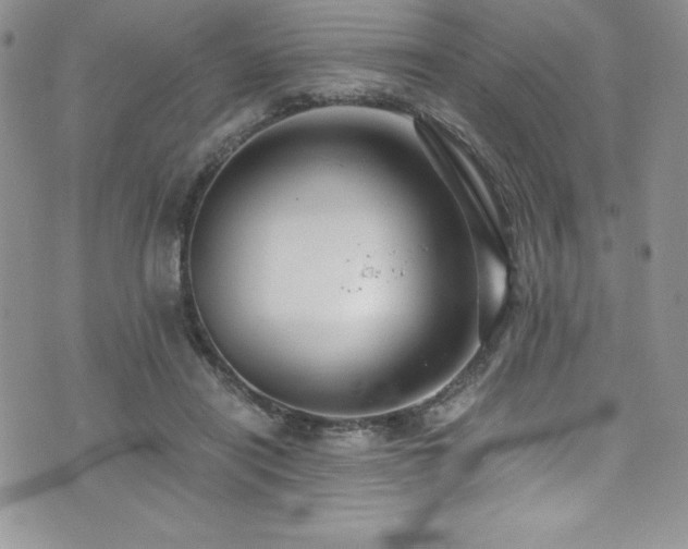 X0000073860454200608101254