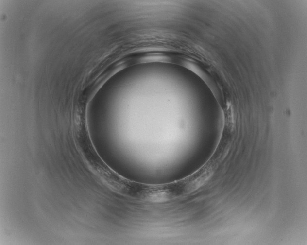 X0000073860456200608101255