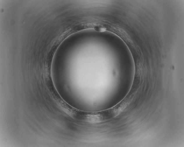 X0000073860457200608101255