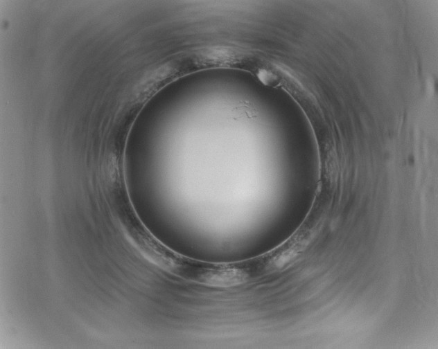 X0000073860459200608101255