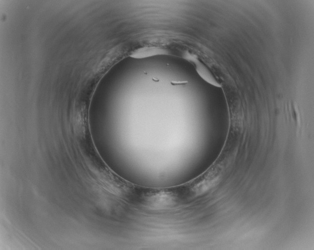 X0000073860460200608101255