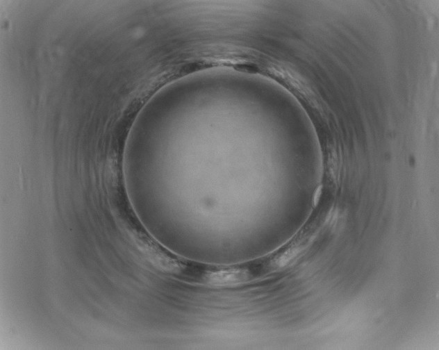 X0000073860461200608101255