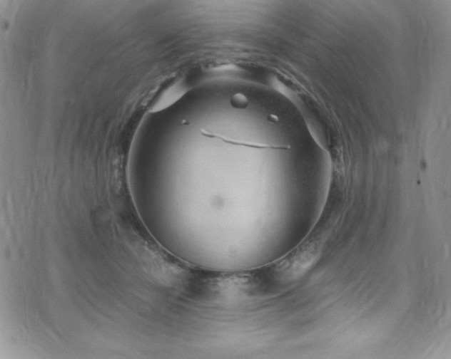 X0000073860462200608101255