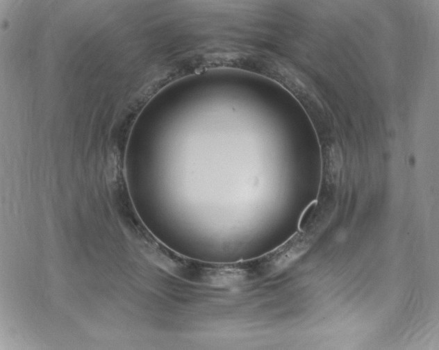 X0000073860463200608101255