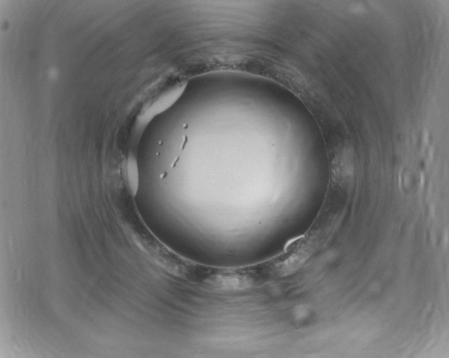 X0000073860464200608101255