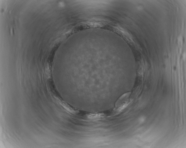 X0000073860465200608101255