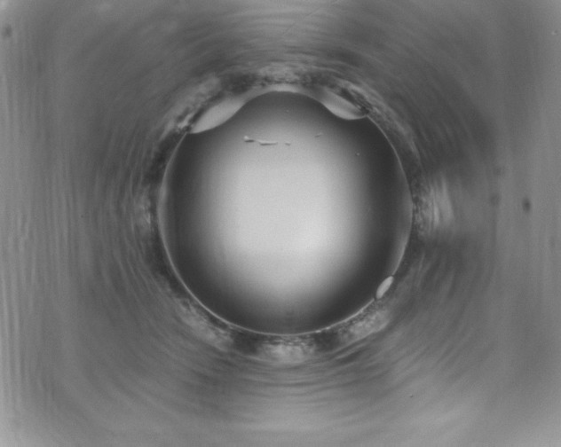 X0000073860466200608101255