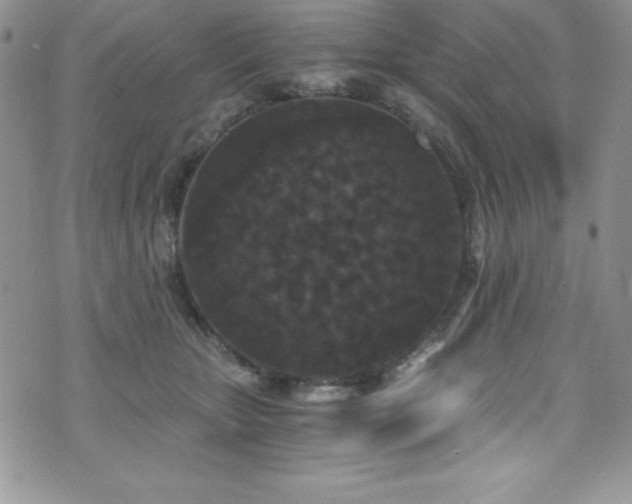 X0000073860467200608101255