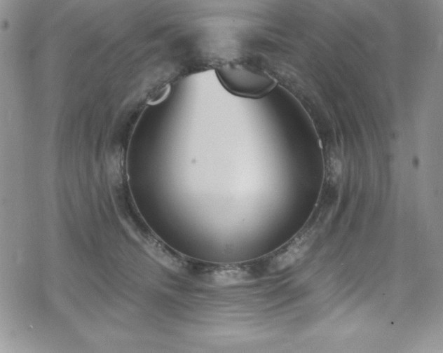 X0000073860468200608101255