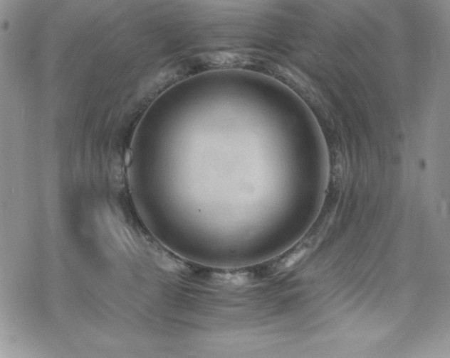 X0000073860469200608101255