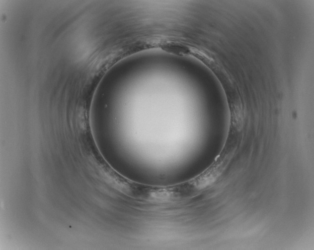 X0000073860470200608101255