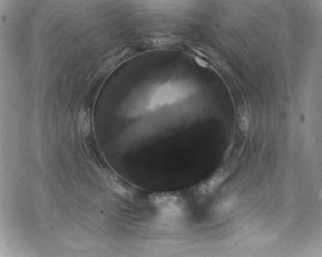 X0000073860471200608101255