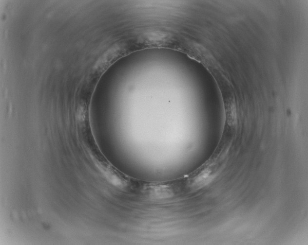 X0000073860472200608101255