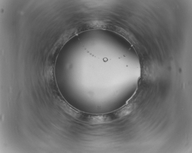 X0000073860473200608101255