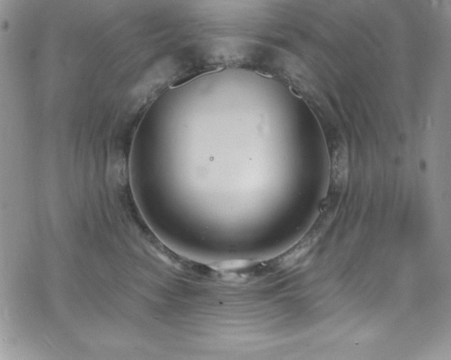 X0000073860474200608101255