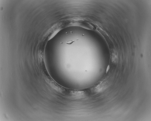 X0000073860476200608101255