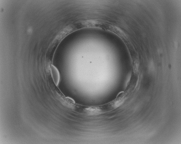 X0000073860477200608101255