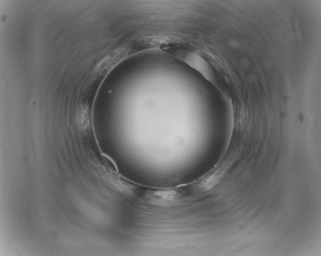 X0000073860478200608101255