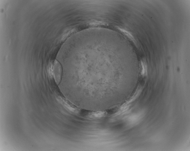 X0000073860479200608101255