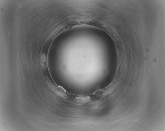 X0000073860480200608101255