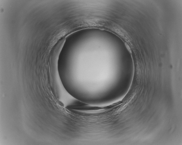 X0000073860481200608101254