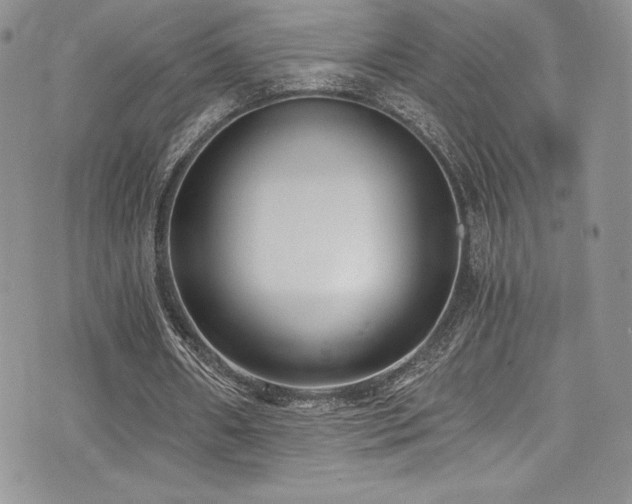 X0000073860482200608101254