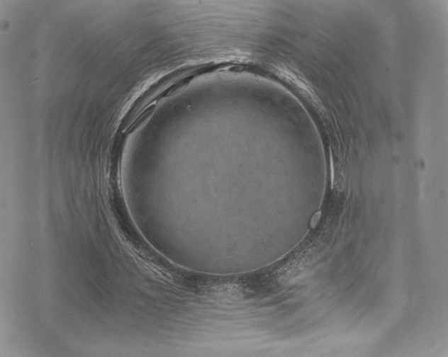 X0000073860483200608101254