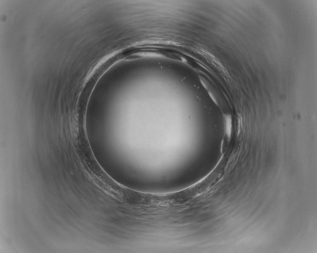 X0000073860484200608101254