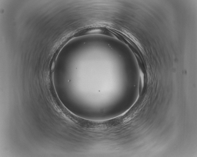 X0000073860485200608101254