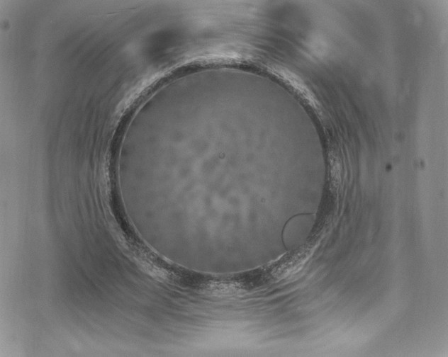 X0000073860487200608101254