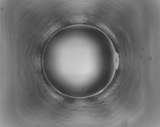 X0000073860489200608101254