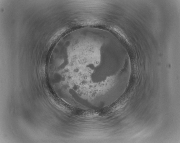 X0000073860491200608101254