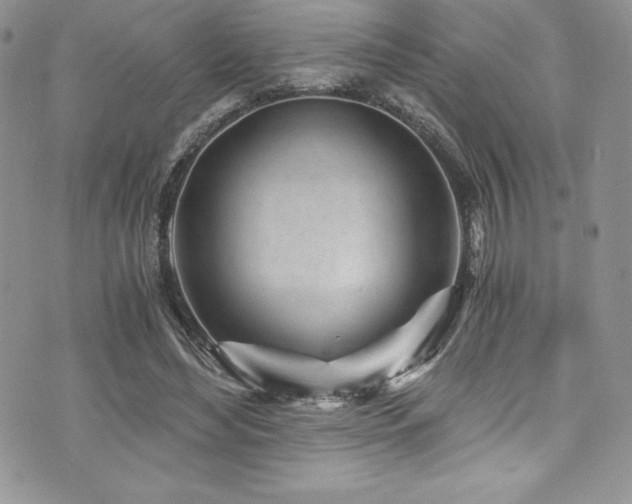 X0000073860492200608101254