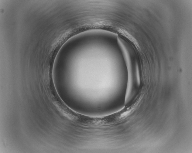 X0000073860493200608101254