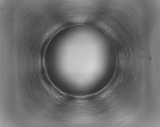 X0000073860494200608101254