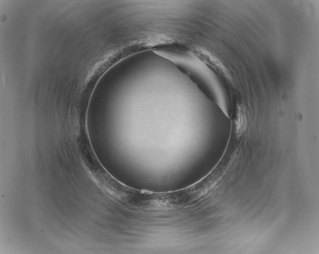 X0000073860496200608101254