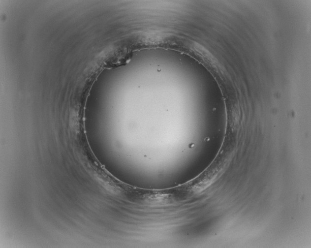 X0000073860497200608101254