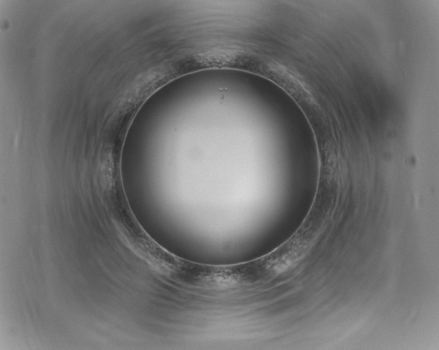 X0000073860498200608101254