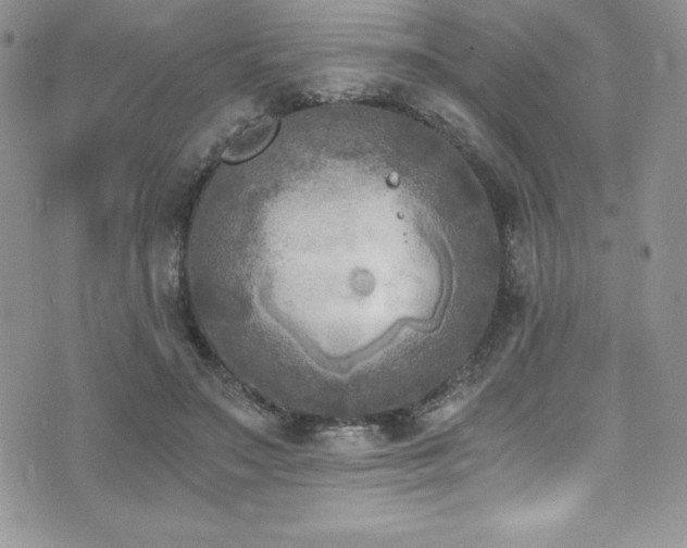 X0000073860499200608101254