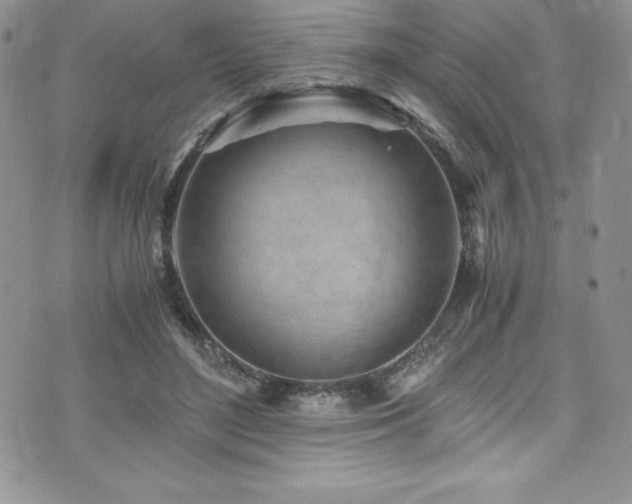 X0000073860500200608101254