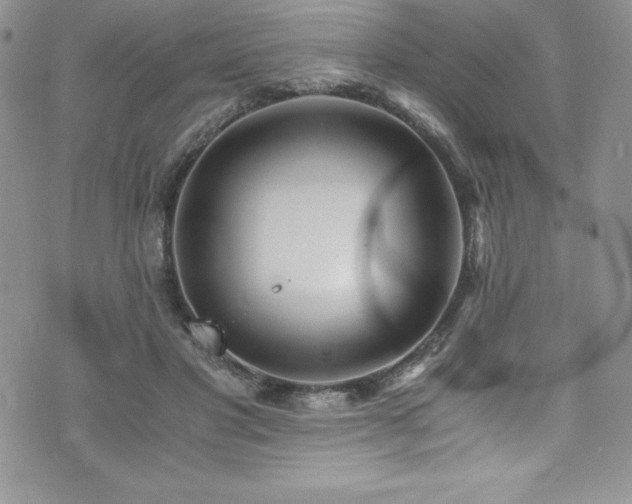 X0000073860501200608101254