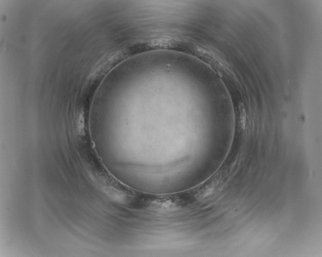 X0000073860502200608101254