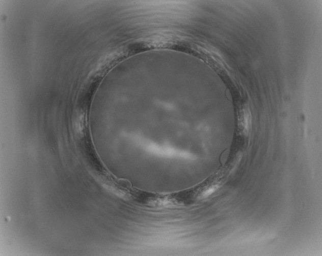 X0000073860503200608101254