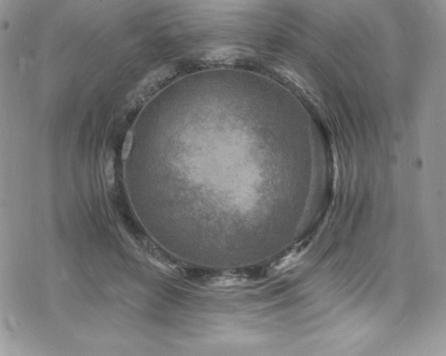 X0000073860504200608101254