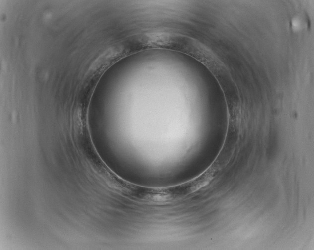 X0000073860506200608101254