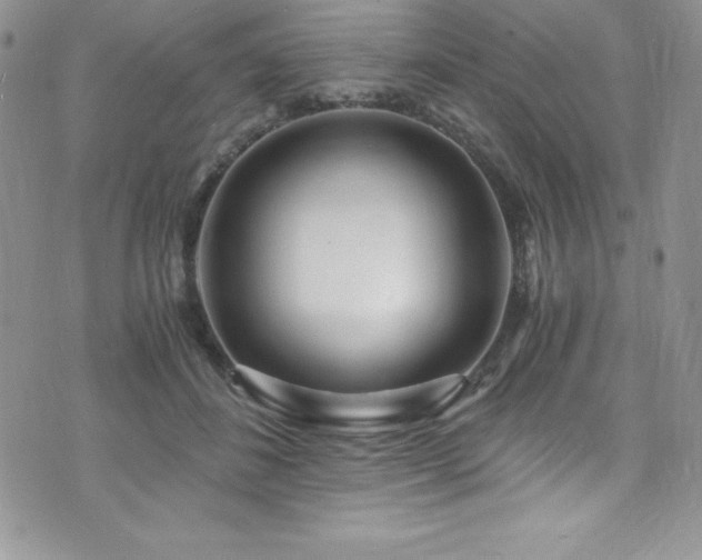 X0000073860508200608101254