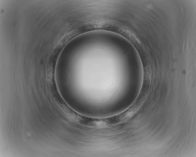 X0000073860509200608101254