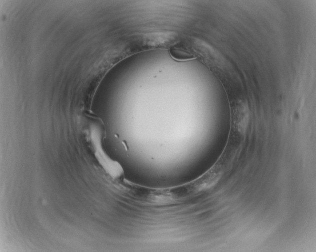 X0000073860510200608101254