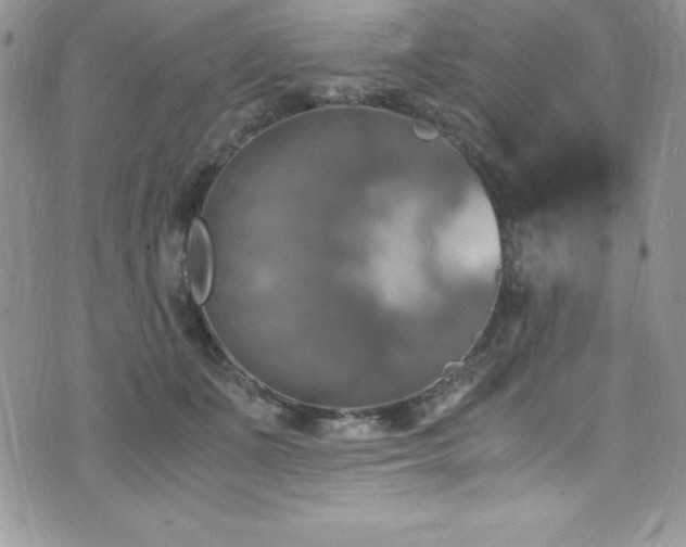 X0000073860511200608101254